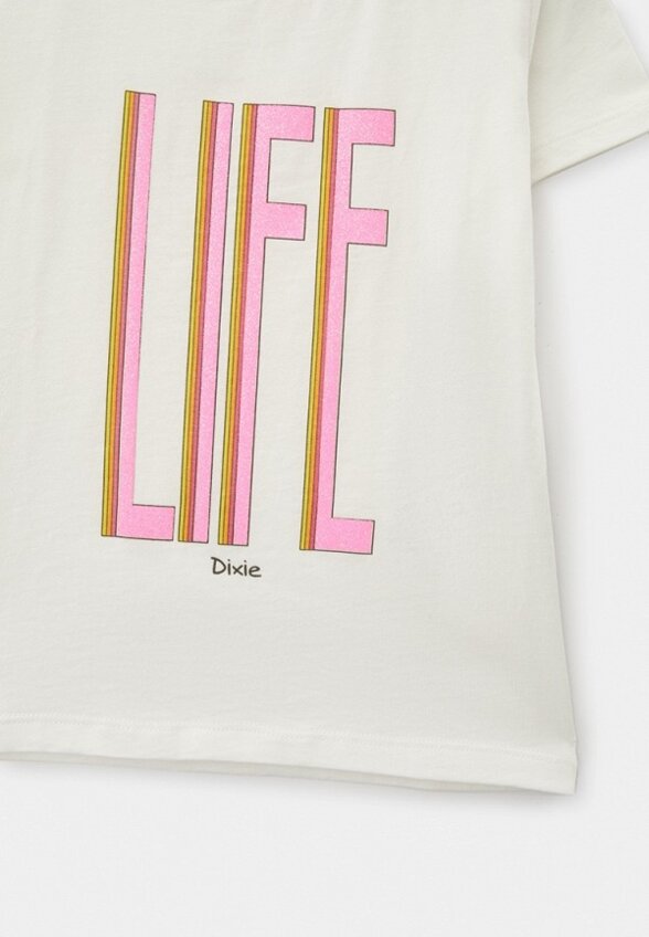 Футболка Dixie