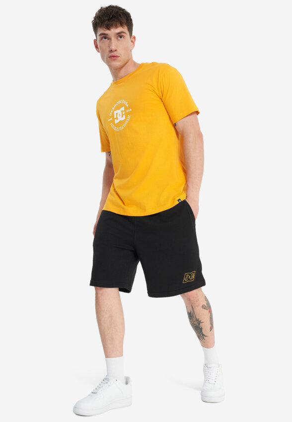 Футболка мужская DC Shoes Essy Dorrington, Желтый