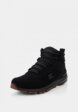 Ботинки DC Shoes2  - превью