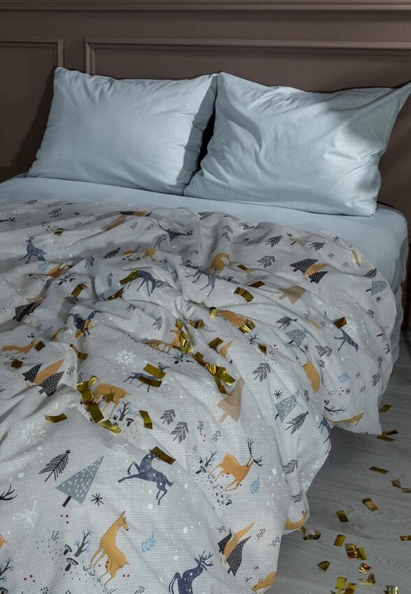 Постельное белье Евро Унисон