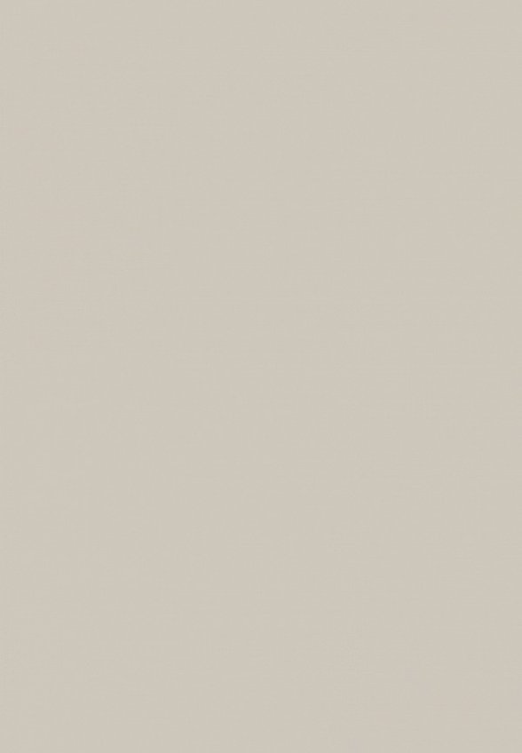 Блестки Influence Beauty