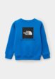 Свитшот The North Face2  - превью