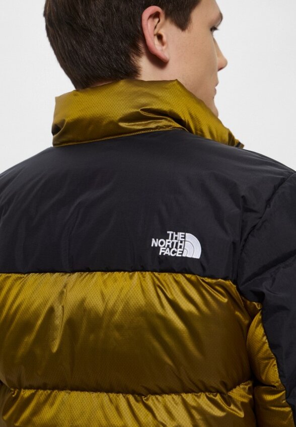 Пуховик The North Face