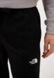Брюки спортивные The North Face4  - превью