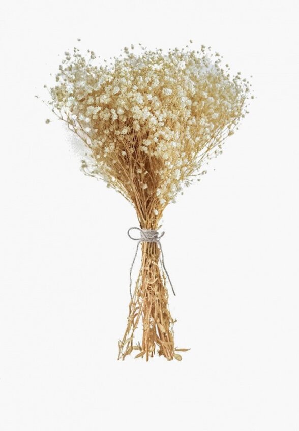 Растение искусственное Mandarin Decor