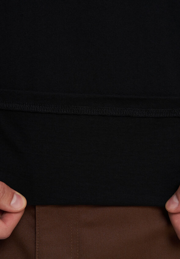 Футболка мужская DICKIES Icon, Черный