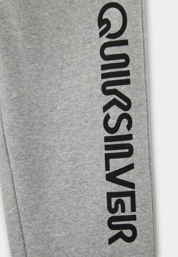 Брюки спортивные Quiksilver