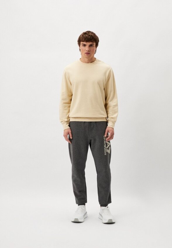 Брюки спортивные EA7