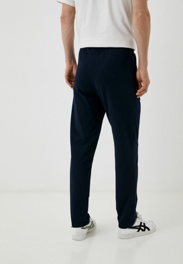 Брюки спортивные Агапэ