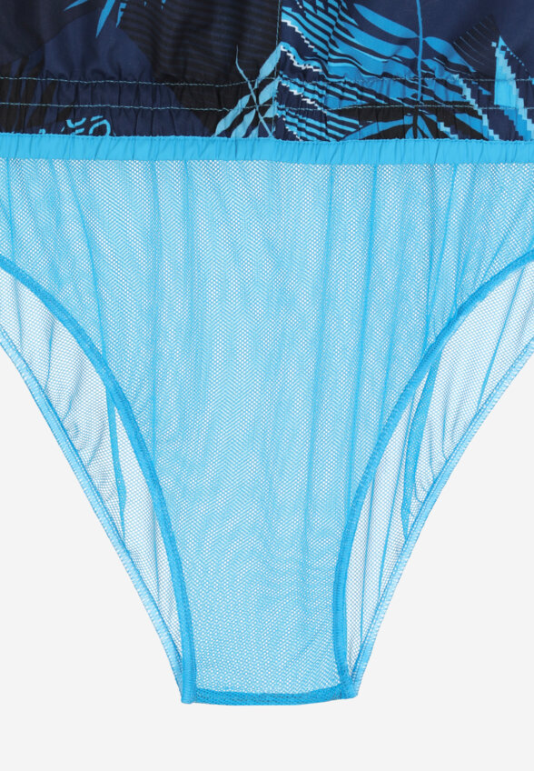 Шорты плавательные мужские Joss, Синий