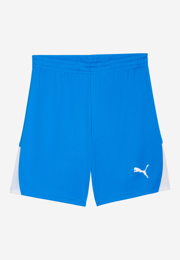 Шорты мужские PUMA Teamliga26, Голубой