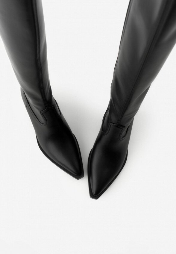 Ботфорты Wysh