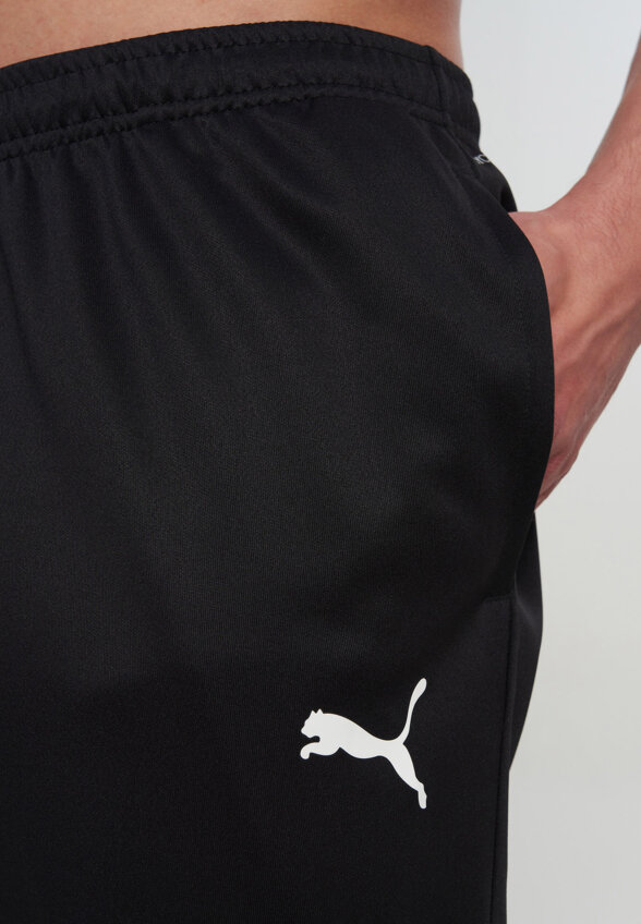 Брюки мужские PUMA Teamrise Poly Training, Черный