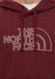 Худи The North Face4  - превью