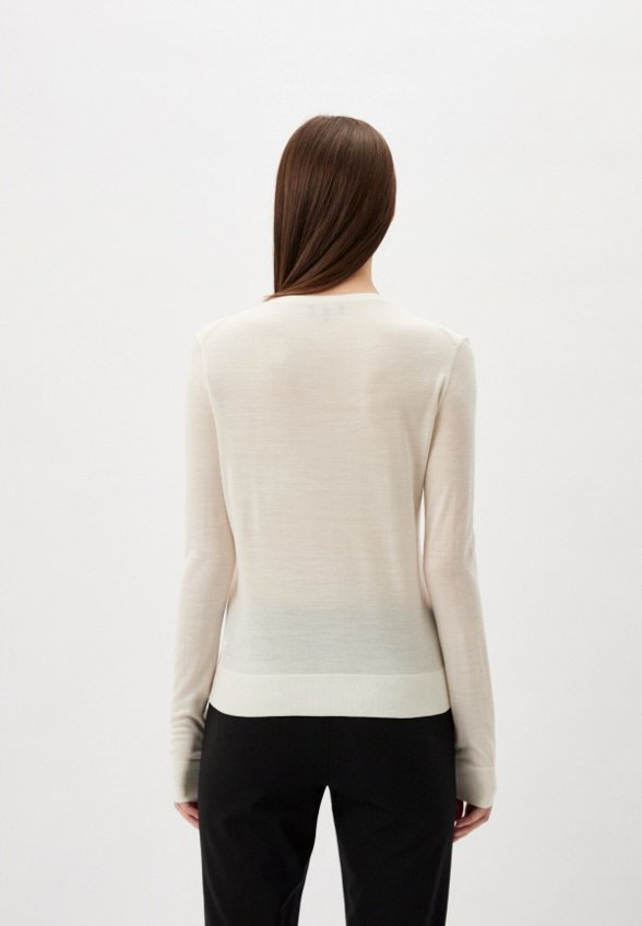 Джемпер Theory