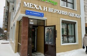 Зимняя Птица
