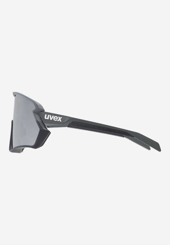 Солнцезащитные очки Uvex Sportstyle 231 2.0, Черный
