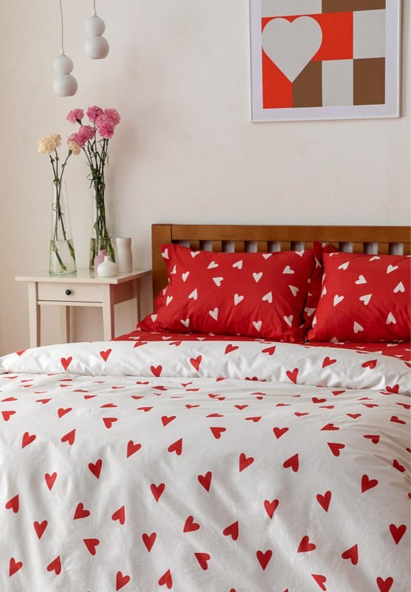 Постельное белье Евро Cozy Home