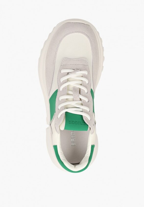 Кроссовки Briggs