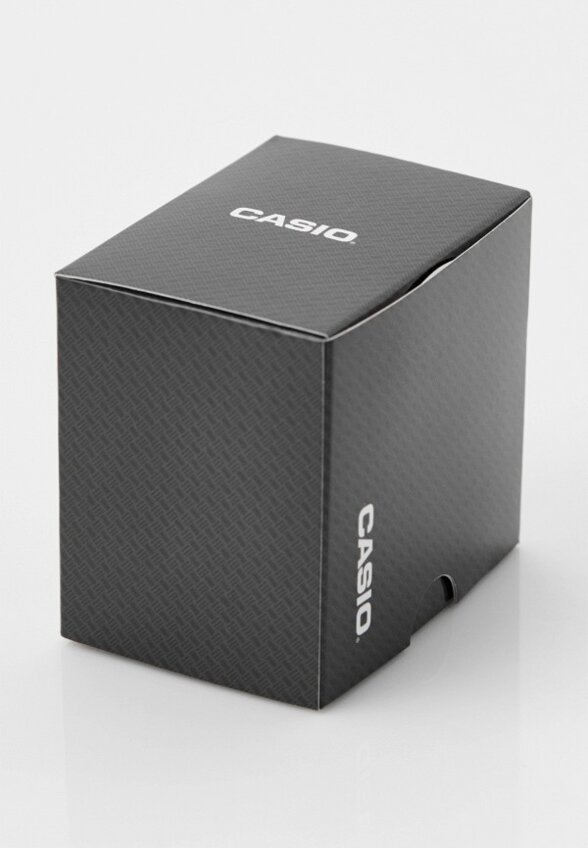 Часы Casio