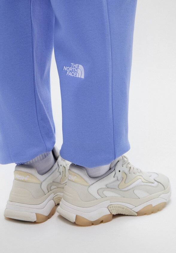 Брюки спортивные The North Face