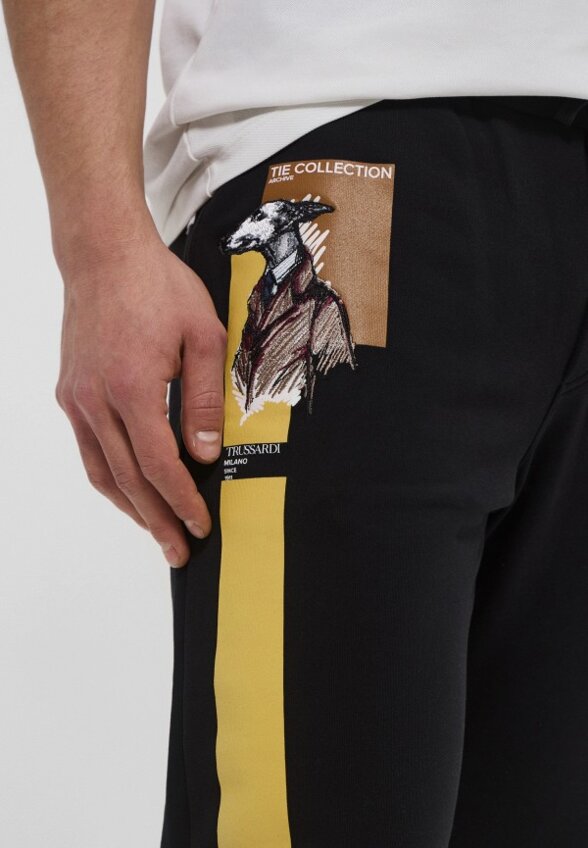 Брюки спортивные Trussardi