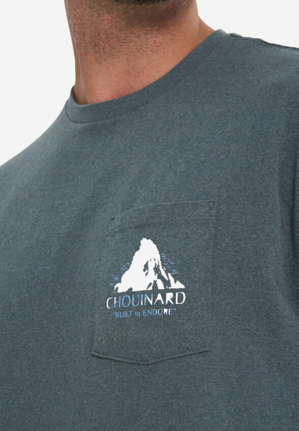 Футболка мужская Patagonia Chouinard Crest, Зеленый
