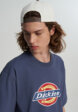 Футболка мужская DICKIES Icon, Синий6  - превью