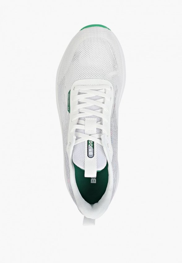 Кроссовки Briggs