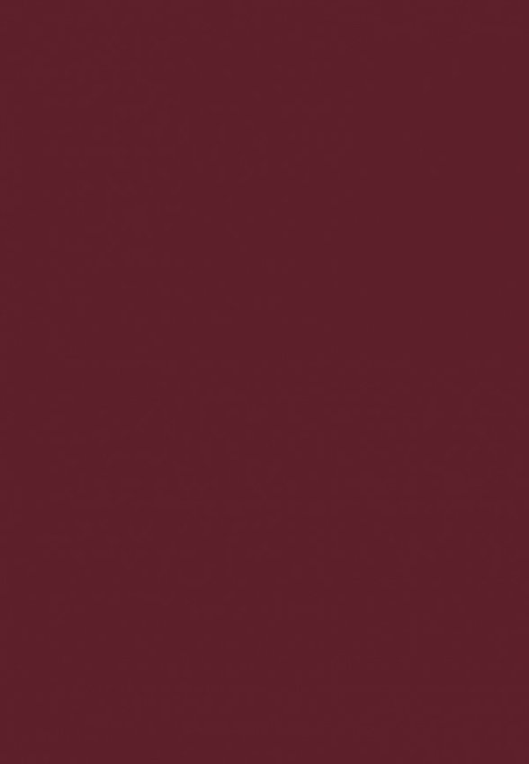 Помада жидкая Stellary