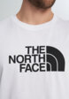Футболка мужская The North Face Evolution, Белый7  - превью