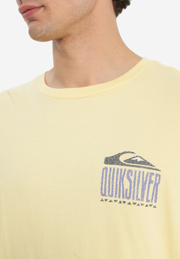 Футболка мужская оверсайз Quiksilver World Force, Желтый