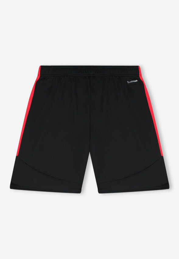 Шорты мужские Adidas Tiro26, Черный