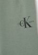 Брюки спортивные Calvin Klein Jeans3  - превью