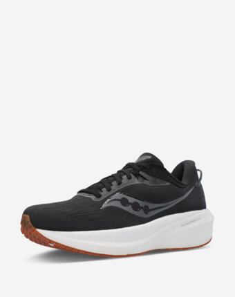 Кроссовки мужские Saucony Triumph 21, Черный женщинам