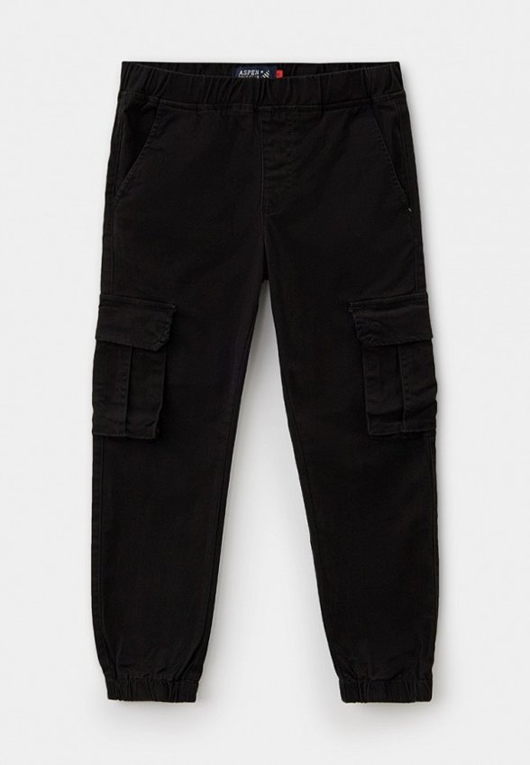 Брюки Aspen Polo Club