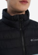 Жилет утепленный мужской Columbia Powder Lite II Vest, Голубой5  - превью
