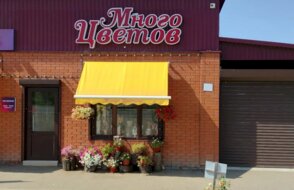 Много цветов