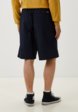 Шорты Dickies3  - превью