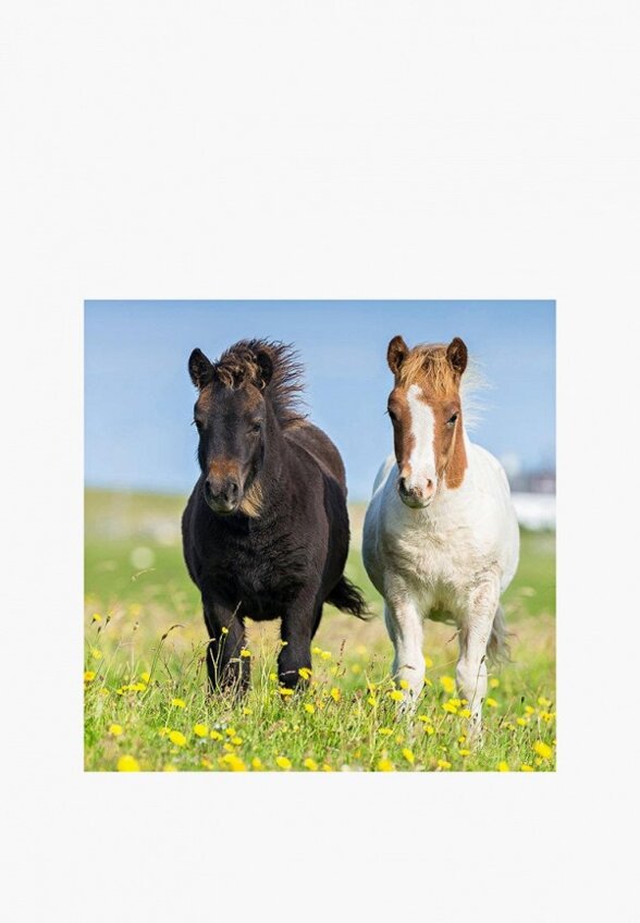 Пазл Ravensburger