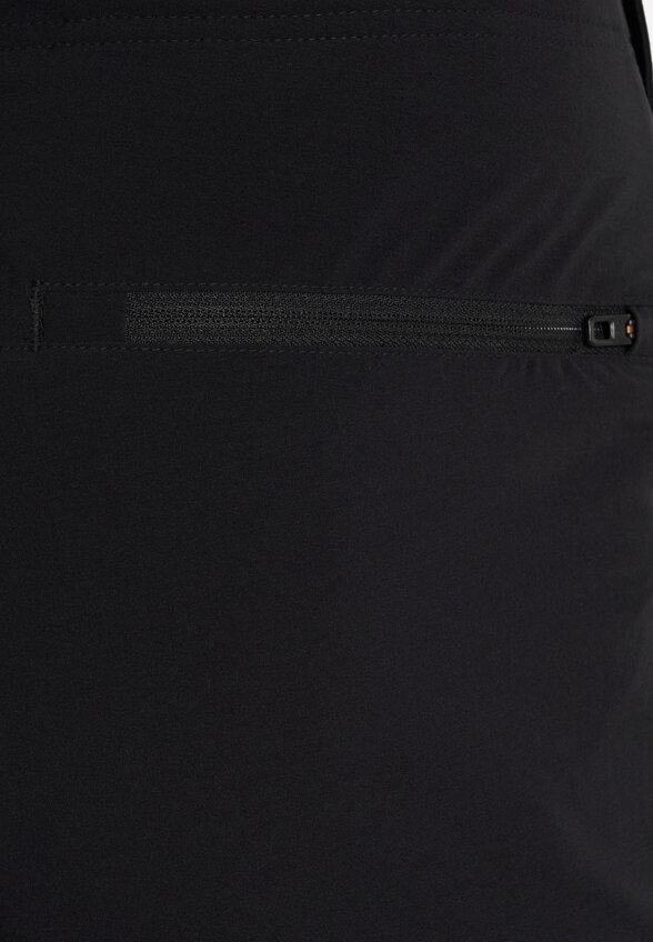 Брюки мужские The North Face Speedlight, Черный