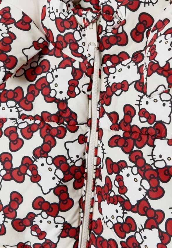 Демисезонная куртка с принтом Hello Kitty для девочек