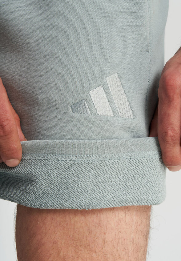 Шорты мужские Adidas, Голубой