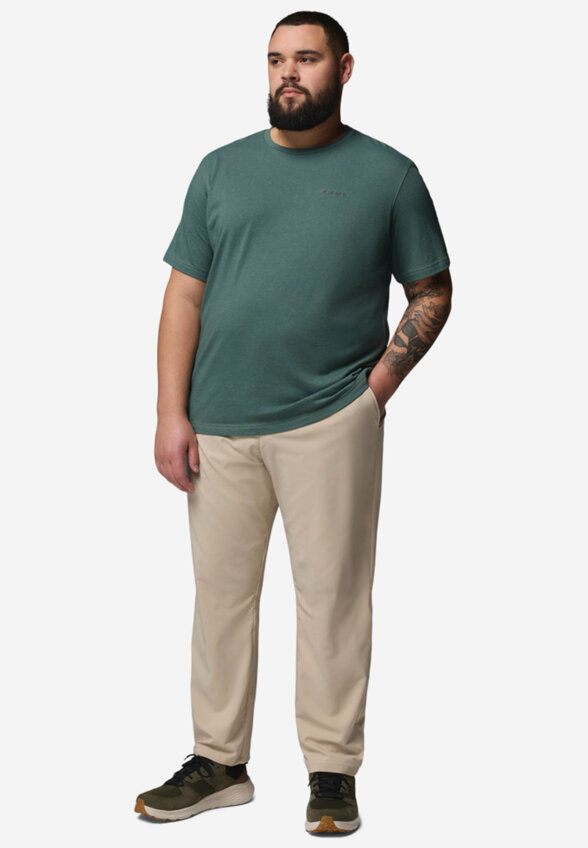 Брюки мужские Columbia Sage Peak Chino Pant, Бежевый