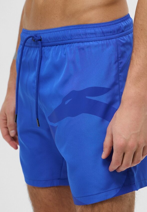 Шорты для плавания Trussardi