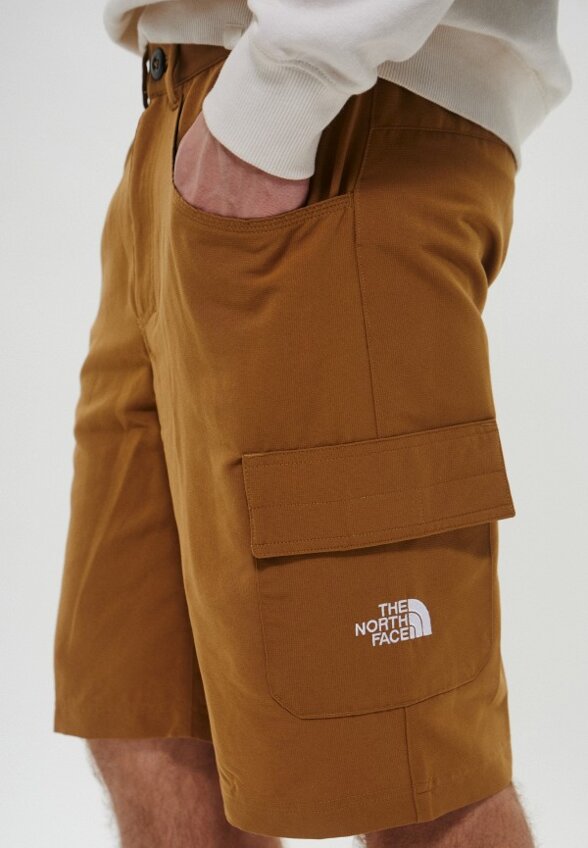 Шорты The North Face