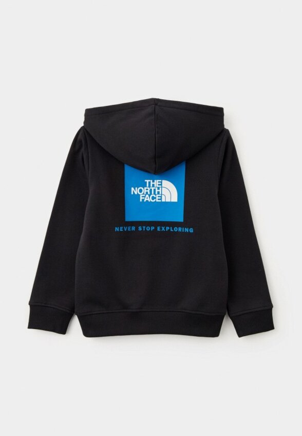 Худи The North Face