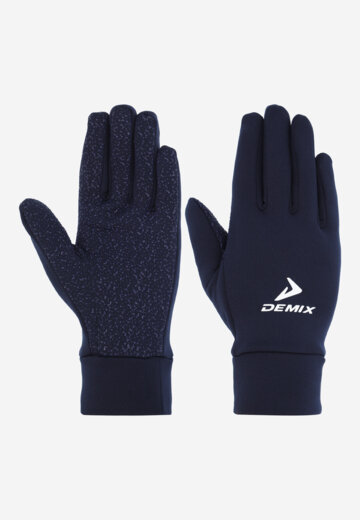 Перчатки мужские Demix, Синий