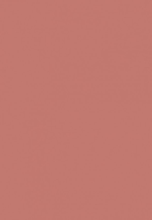 Футляр для помады Clarins