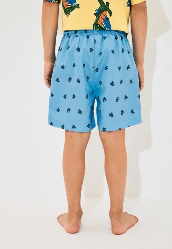 Шорты для плавания Acoola